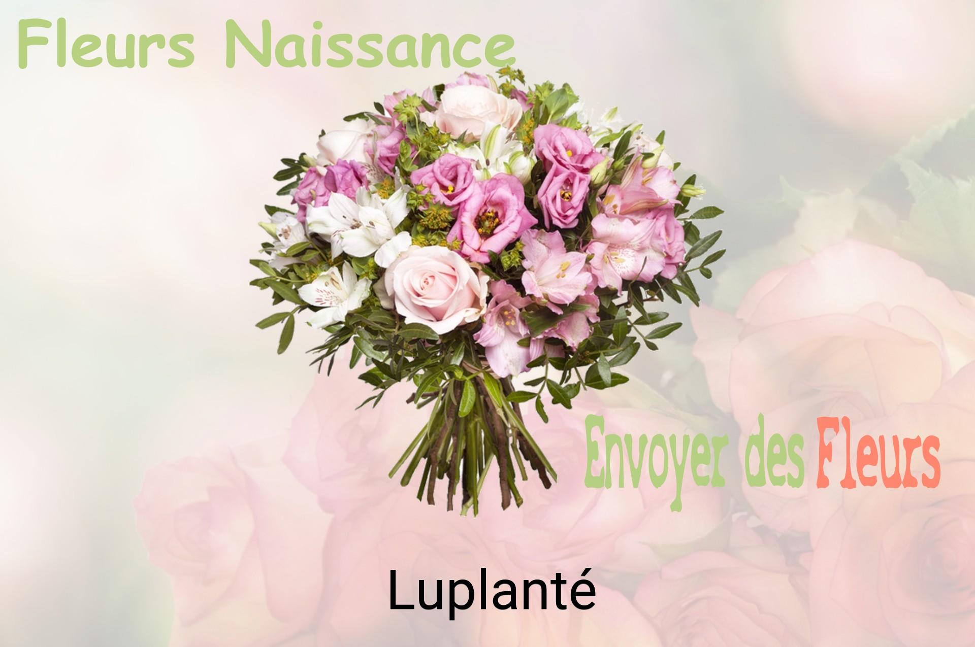 Bouquet de fleurs de naissance livré à Luplanté