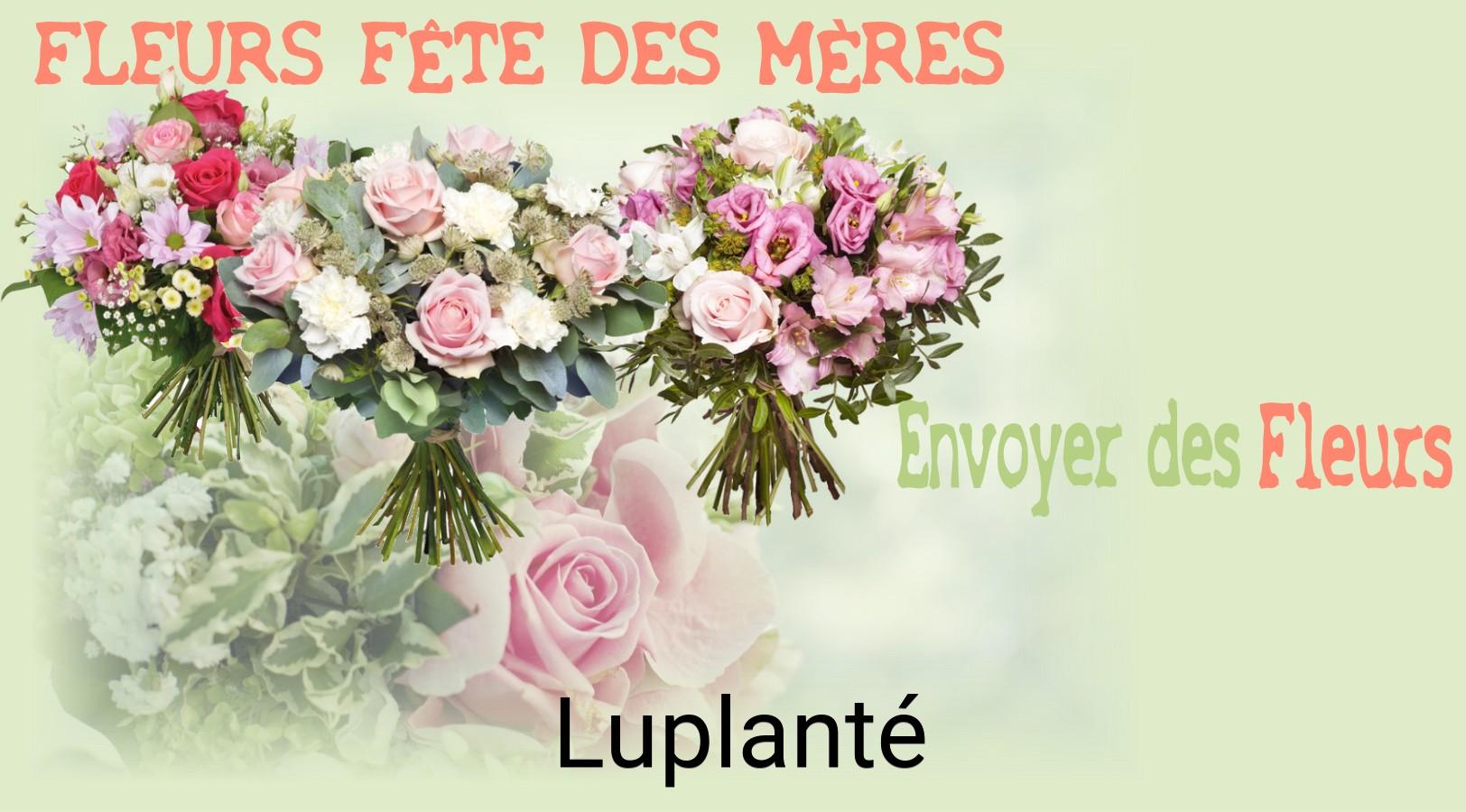 Bouquet de Fête des Mères livré à Luplanté